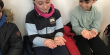 2020_02_27_3º visita Insectpark (3)_CEIP FDLR_Las Rozas 7