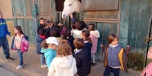 Infantil 5C visita la Granja_fotos (1)_CEIP FDLR_Las Rozas