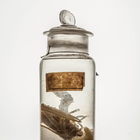 IES_CARDENALCISNEROS_CIENCIASNATURALES_080