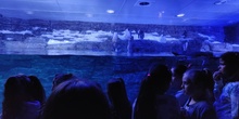 FOTOS AQUARIUM 3 20