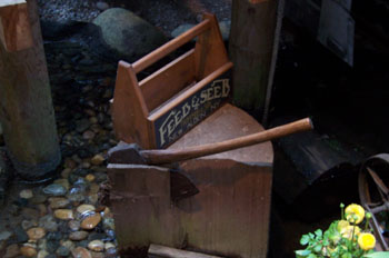 Centro histórico, Cañón del Capilano, Vancouver