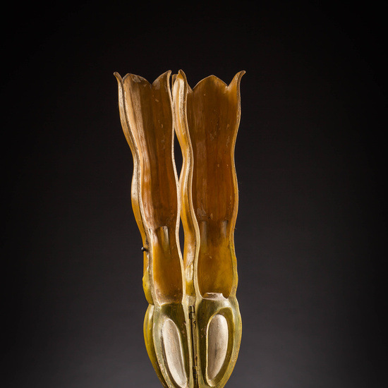 IES_SANISIDRO_MUSEO_Botanica_044