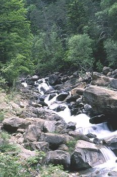 Río de montaña en Respomuso