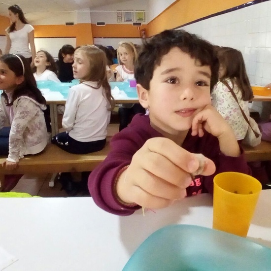 Granja Escuela 1º y 2º EP 2017-18 8