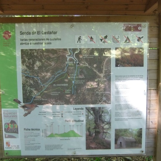 El castañar. El tiemblo 2