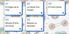 Vídeo resumen "La célula" 4º ESO, Biología
