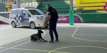 La Unidad Canina de Las Rozas visita el centro_CEIP FDLR_Las Rozas<span class="educational" title="Contenido educativo"><span class="sr-av"> - Contenido educativo</span></span>