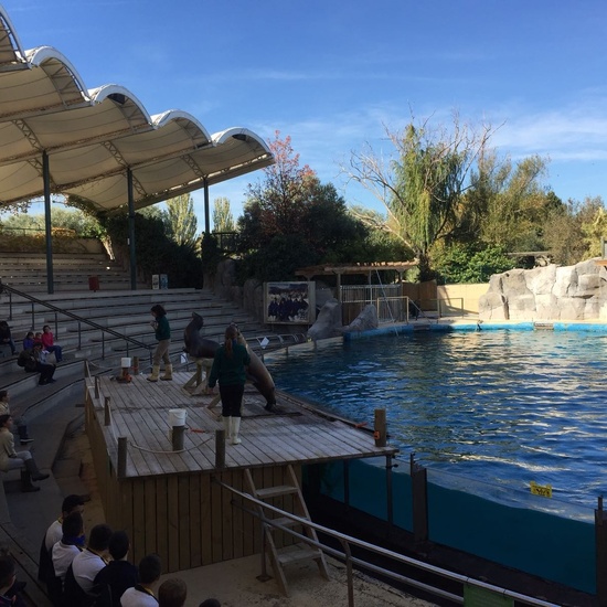 Faunia: taller y visita guiada 10