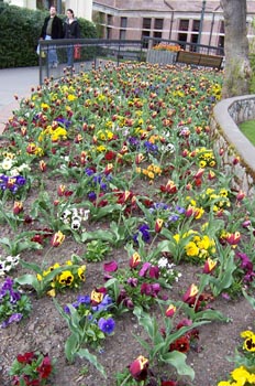 Jardines del Hotel The Empress, Victoria