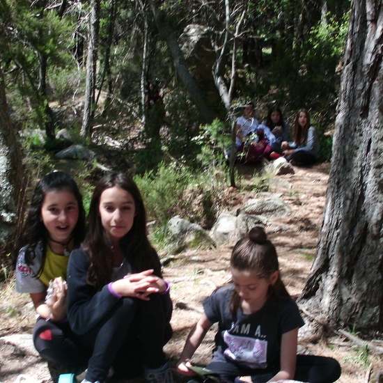 NIÑAS/OS DE 5º . NATURALEZA VIVA EN LA PEDRIZA.HOSTOS POR EL PLANETA 18