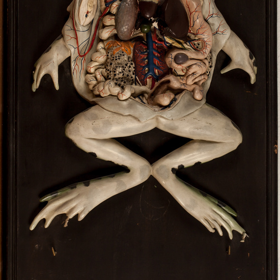 IES_SANISIDRO_BIOLOGIA_332