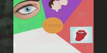 PRIMARIA 1º EP. FIVE SENSES. NATURAL SCIENCES. FORMACIÓNmp4