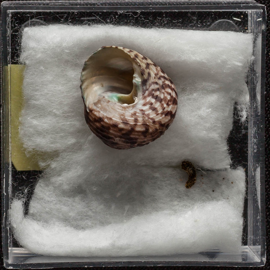 IES_ISABELLACATOLICA_BIOLOGIA_326