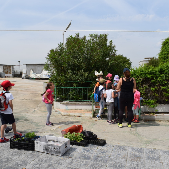 Siembra Huerta Balta 1 5 años 2018 4
