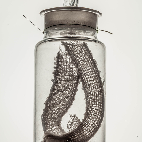 IES_CARDENALCISNEROS_CIENCIASNATURALES_074