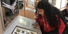 2020_02_27_3º visita Insectpark (3)_CEIP FDLR_Las Rozas 6