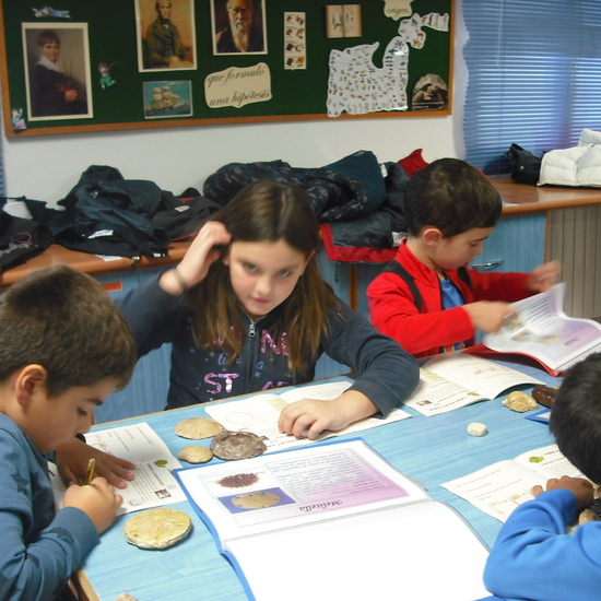 granja segunda parte 20