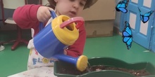 Infantil 3 años - Siembran y cuidan sus plantas