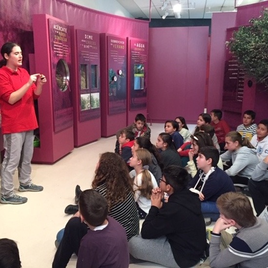 Centro de Interpretación de la Naturaleza. Montecarmelo. 6º curso. 19