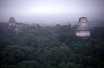 Templos I, II y III desde el Templo IV, Tikal, Guatemala