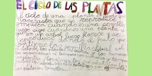 El ciclo de una planta. Fran 2ºA