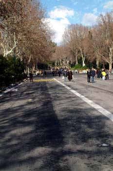 Paseo en el Parque del Retiro, Madrid