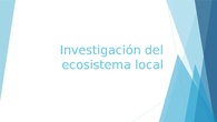 Investigación del ecosistema local