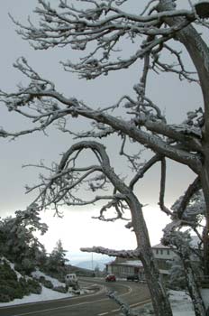 Subida al Puerto de Navacerrada, Madrid