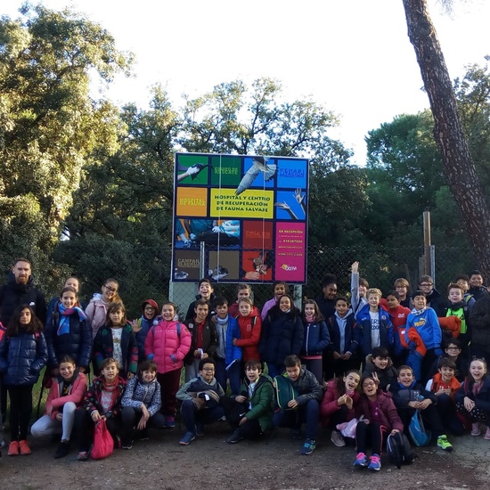 VISITA A GREFA. 5º CURSO 18