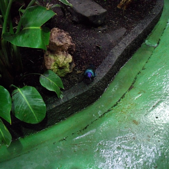 GRANJA DE LOS CUENTOS - ED.INFANTIL  35