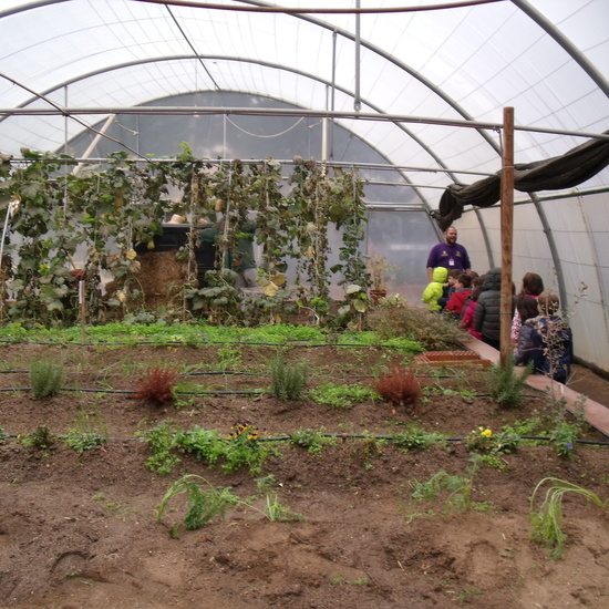 GRANJA DE LOS CUENTOS - ED.INFANTIL (Parte 2) 33