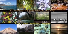 VII CONCURSO FOTO DIGITAL 2018-19