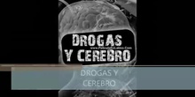 Drogas y cerebro