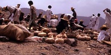 Mercado de calabazas en Suq al Khamis, Yemen