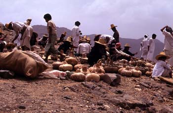 Mercado de calabazas en Suq al Khamis, Yemen