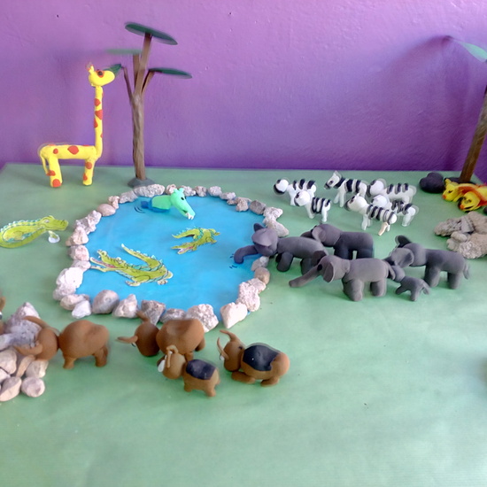 ECOSISTEMAS 5º CURSO 27