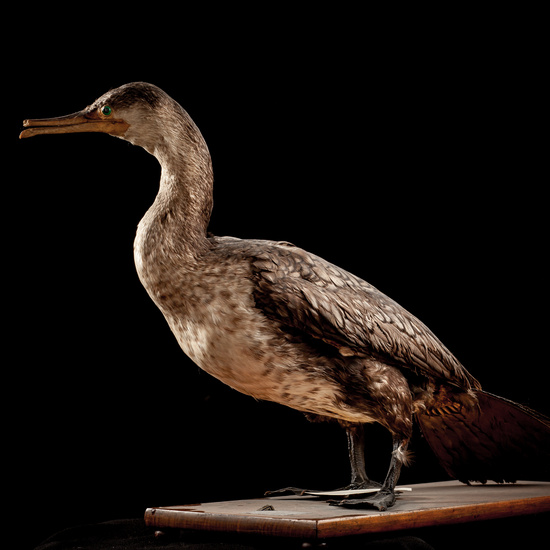 IES_SANISIDRO_BIOLOGIA_034