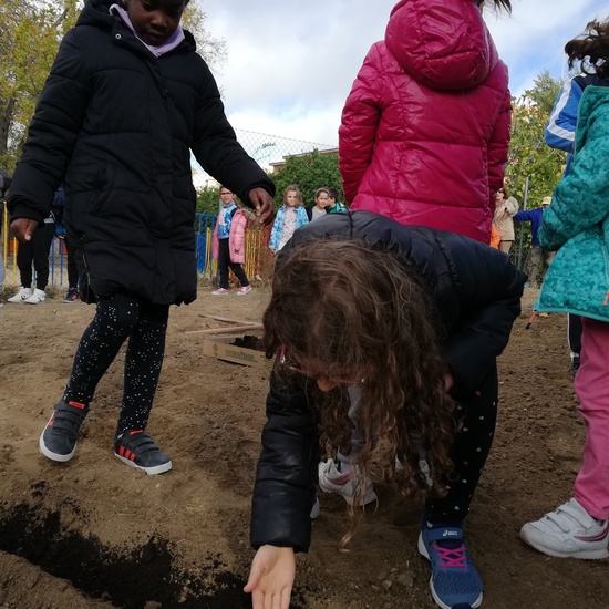 Huerto escolar 2019/20 35