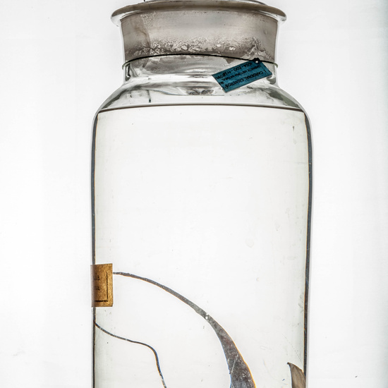 IES_CARDENALCISNEROS_CIENCIASNATURALES_344