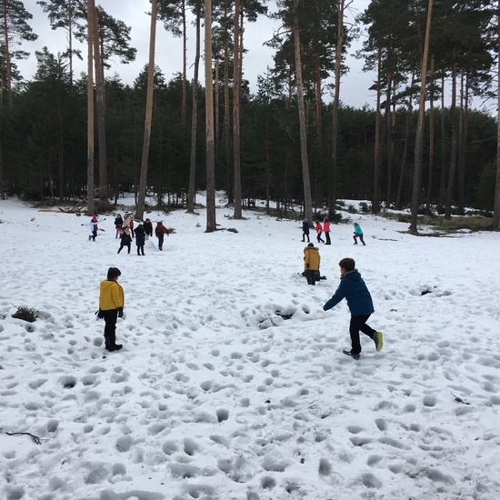 4ºC de Senderismo en la Boca del Asno_CEIP FDLR_Las Rozas 15
