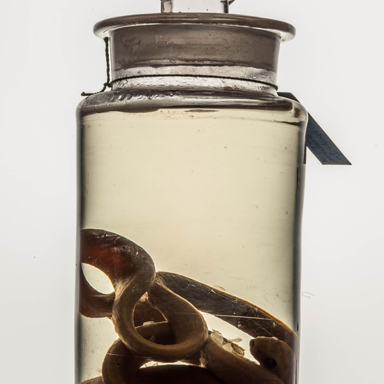 IES_CARDENALCISNEROS_CIENCIASNATURALES_276