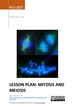Lesson Plan: Mitosis and Meiosis