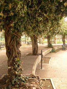 Parque la Alamedilla en Salamanca, Castilla y León