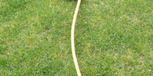 Berimbau