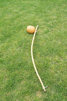 Berimbau