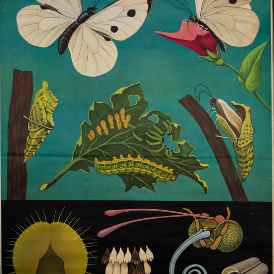 IES_LOPEDEVEGA_CIENCIASNATURALES_023