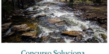 Proyecto Soluciona