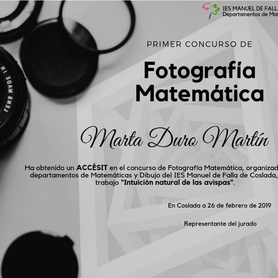 FOTOGRAFÍA MATEMÁTICA 2019 8