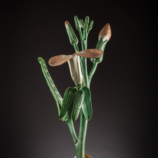 IES_SANISIDRO_MUSEO_Botanica_048