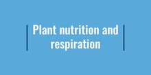 PRIMARIA - 4º - PLANT NUTRITION AND RESPIRATION - NATURALS - FORMACIÓN